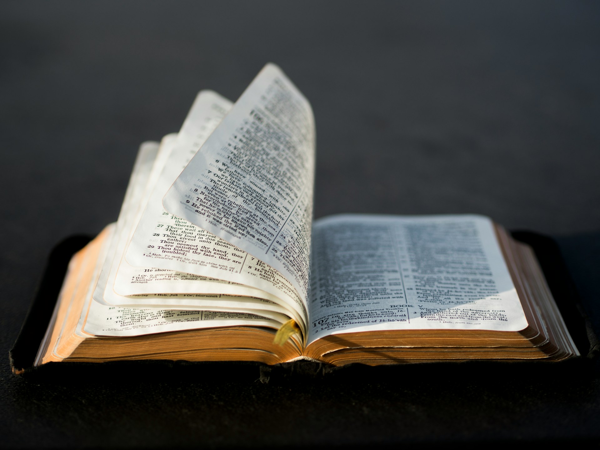 Is de Bijbel door God geïnspireerd?